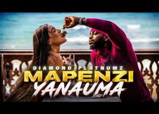  Diamond Platnumz MAPENZI YANAUMA Official Audio