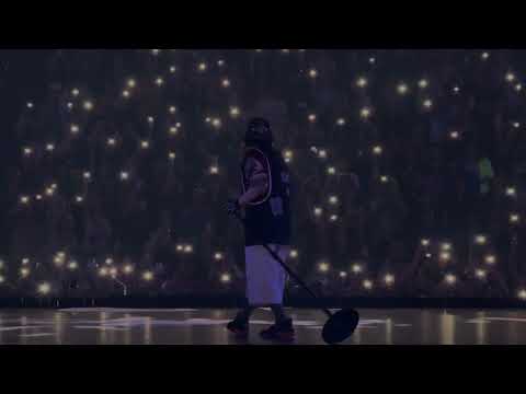 Billie Eilish Live WILDFLOWER November 17th 2024