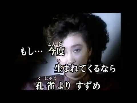 すずめの涙 桂銀淑 カラオケ映像
