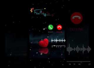 When Zara Meets With Veer Ringtone Veer Zara Shahrukh Khan PreetiZinta Veer Shortvideo Ringtone