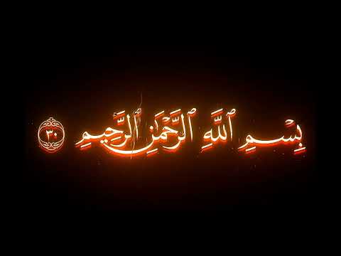 تلاوة عجيبة وخشوع من محمد أحمد شبيب سورة النمل تلاوة عجيبة وخشوع من محمد أحمد شبيب سورة النمل
