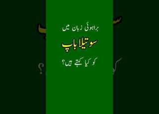  براہوئی زبان میں سوتیلا باپ کو کیا کہتے ہیں پتارک پلندر