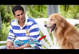 دوای ٢٥ ساڵ دەزانێت باوکی ملیۆنێرە بەڵام دەردەکەوێت کە باوکی هەموو سامانەکەی بۆ سەگەکەی گواستۆتەوە