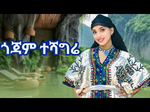 Girum Wedu Gojam ግሩም ውዱ ጎጃም ተሻግሬ New Ethiopian Music 2025