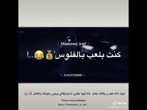 كلو كان عامل حبيبي