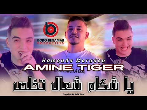 Cheb Amine Tigre 2025 يا شكام شعال تخلص Feat Hamouda Maradon Exclusive Live Music Cheb Amine Tigre 2025 يا شكام شعال تخلص Feat Hamouda Maradon Exclusive Live Music