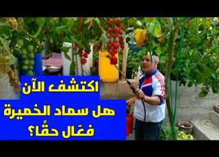  فضل طريقة لتحضير و استخدم سماد الخميرة السحري
