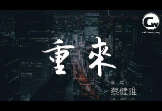 蔡健雅 重來 如果能重來 要重來多少次後纔會明白 動態歌詞Lyrics