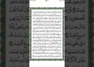القران الكريم الصفحة 54 ياسر الدوسري