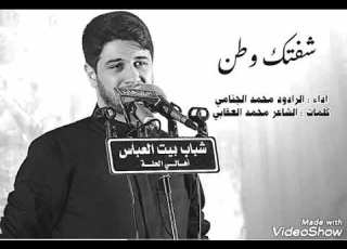 الرادود محمد الجنامي القصيده شفتك وطن كامله الشاعر محمد العقابي
