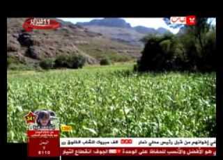 منزل غراب أغنية أيوب طارش