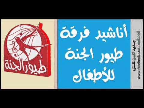 هادي البيضة فيها كتكوت فرقة طيور الجنة هادي البيضة فيها كتكوت فرقة طيور الجنة