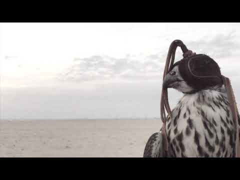 شيلة وداعية تهز ضلوع صدر العاشق الولهان صالح ال مانعة