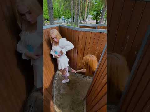 What S Your Favourite Colour