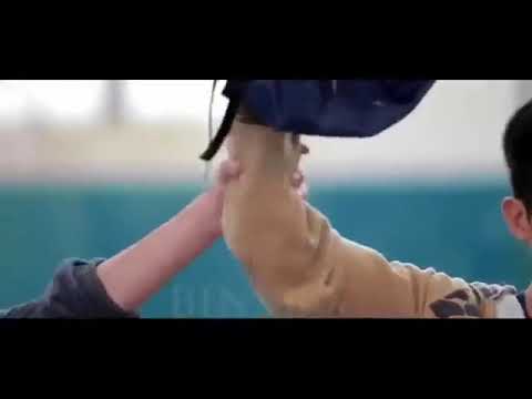 اغنيه يا ليلي ويا ليله وش بش نشكيلك يما