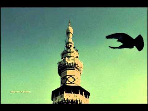 مليت من الغربة وردة