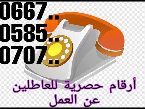 بحث عن عمل في طنجة أرقام هواتف للاتصال بالمشغل مباشرة