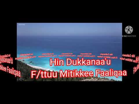 Faarfattuu Mitikkee Faaliqaa