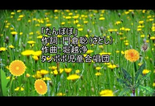 H5 たんぽぽ タンポポ児童合唱団