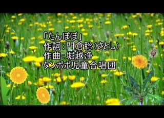 H5 たんぽぽ タンポポ児童合唱団