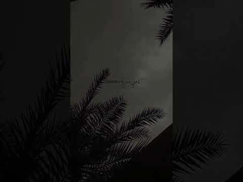 عزتي ياصغير السن ماتنشري ذوق تفاعلوا شيلات شيلة بندر بن عوير غريب ال مخلص عبدالله ال مخلص