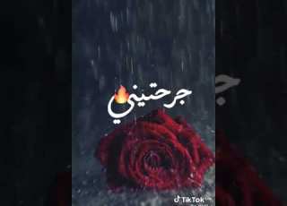 عشقتك من قلب جرحتيني ارب