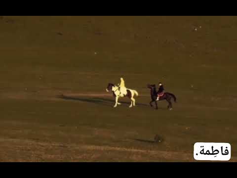 أمير ك جاء أمير ة بالي غدوت حلالك صرت حلالي انشودة أنيسة روحي دف أمير ك جاء أمير ة بالي غدوت حلالك صرت حلالي انشودة أنيسة روحي دف