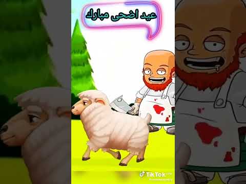 هندبحك يا خروف سيد