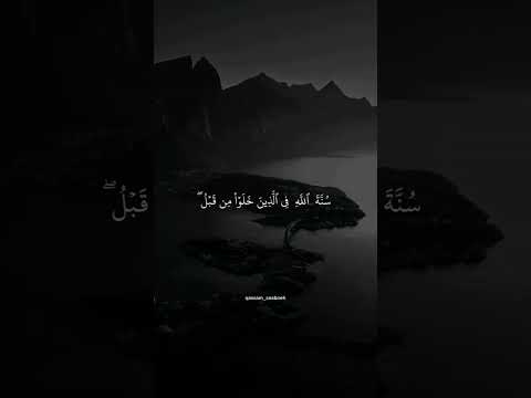 ملعونين اينما ثقفوا أخذوا وقتلوا تقتيلا ملعونين اينما ثقفوا أخذوا وقتلوا تقتيلا