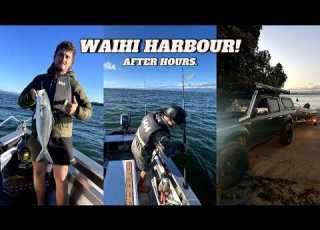  Kingfish In The Waihi Harbour EP 22