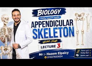  شرح Appendicular Skeleton الهيكل الطرفي كامل Biology ثانوية تجريبية ولغات Lecture 3 دفعة 2027