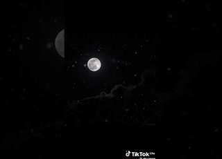  انشودة ابدا لنحيد