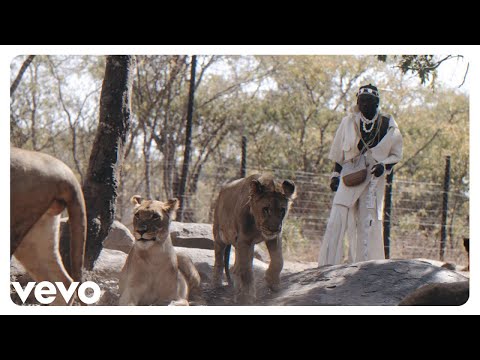 Segulm Nyaminyami Mutinhimira Official Music Video