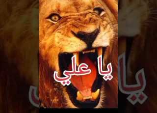 نغمة موبايل حديثة وحصرية يا علي 23