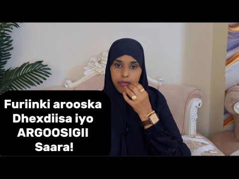 FURIINKII AROOSKA DHEXDIISA IYO ARGOOSIGII SAARA Sawdamqaalib