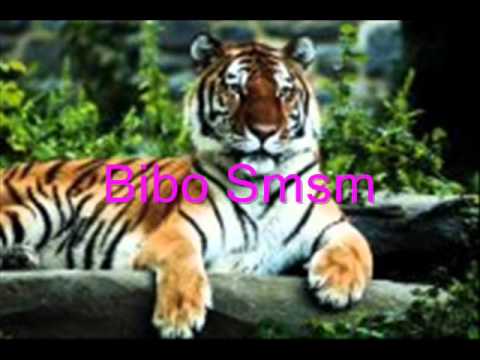 عندما يتكلم الصمت