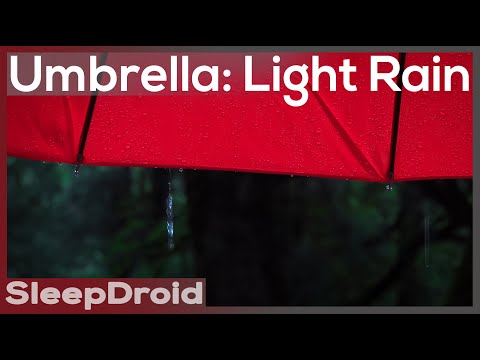 Light Rain On An Umbrella Rain Sounds For Sleeping Red Umbrella In The Rain Lluvia Para Dormir