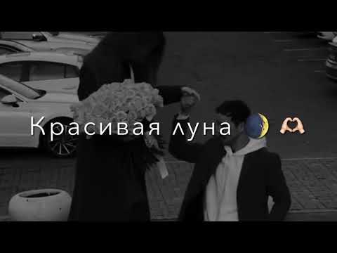 свела меня с ума моя королева