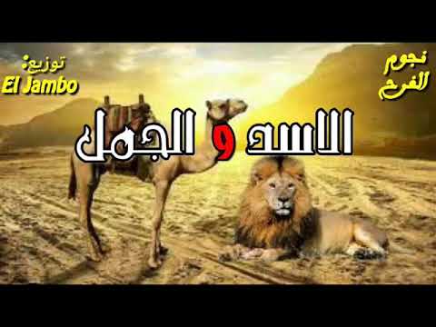 مهرجان الاسد الجمل 2018