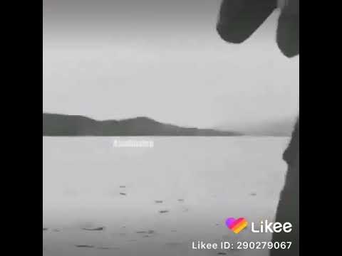 اليسا حكايات