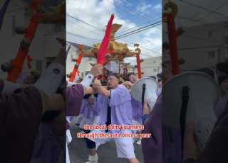 Traditional Festival In Japan Mikoshi Shorts