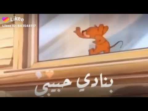 بقالي ليالي بنادي حبيبي ما جاني