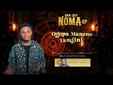 Sani Boy Tunapendana Track No 4