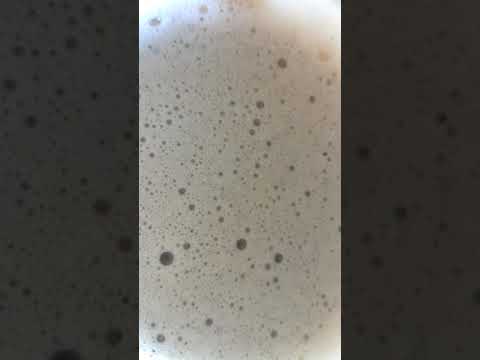 الله ربنا هو الإله