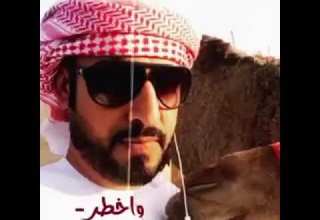 شيله والعرب في كل دار