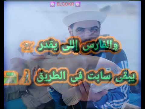 حالة واتس غرقان فى الموجة ومش دارى والكل بيجرح إجباري