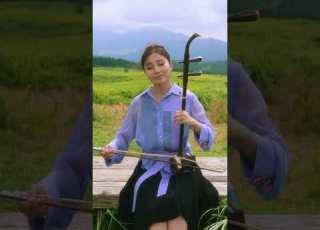 森の小さなレストラン 숲속의 작은 레스토랑 手嶌葵 테시마 아오이 Erhu 얼후 Japan Music