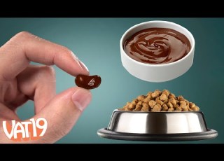 Dog Food Or Chocolate Pudding A Spin And Eat Challenge VAT19