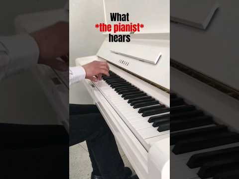 What The Audience Hears Vs What The Pianist Hears Piano Shorts Jazerleepiano