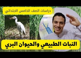 النبات الطبيعي والحيوان البري دراسات الصف الخامس أحمد محمد عبد الجواد